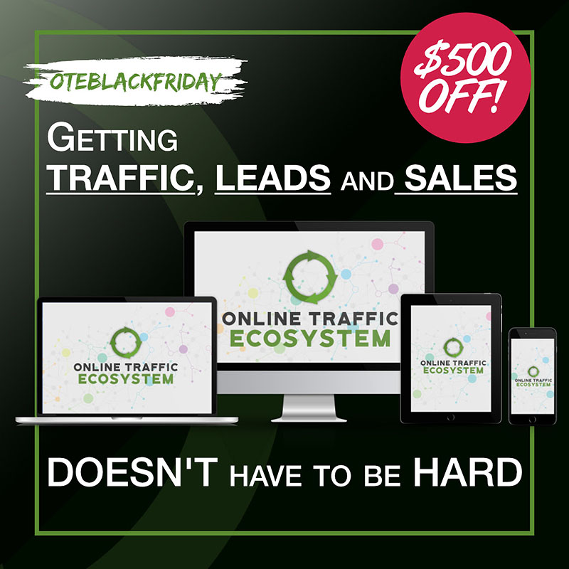 Save $500 On Rachel S. Lee's Online Traffic Ecosystem Black Friday Deal